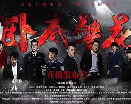 《卧底警花》：正义与危险边缘的绽放，一场惊心动魄的卧底行动