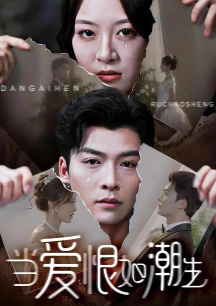 《当爱恨如潮生》：情感漩涡，爱与恨的终极较量！剧情深度剖析与情感共鸣